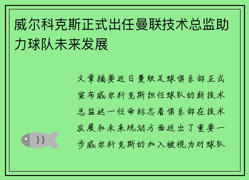 威尔科克斯正式出任曼联技术总监助力球队未来发展